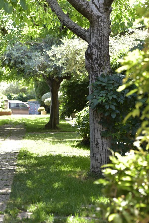 Residence Ranieri Castiglione del Lago Eksteriør bilde