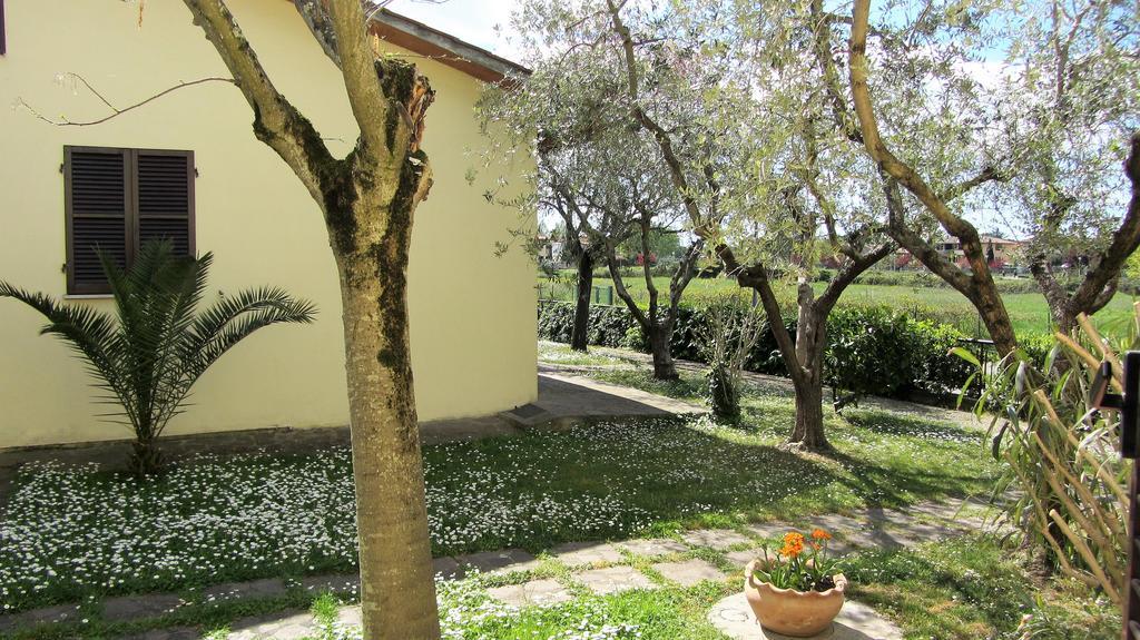 Residence Ranieri Castiglione del Lago Eksteriør bilde